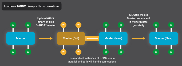 NGINX_load-binary